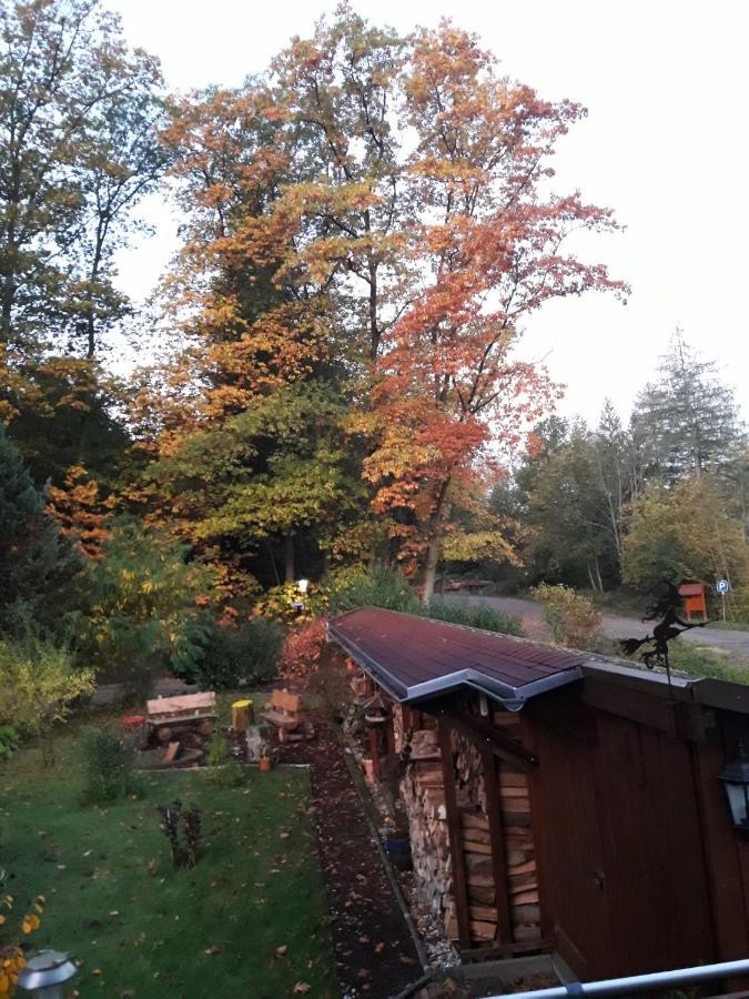 Ferienwohnung Am Wald Bad Herrenalb Exteriér fotografie